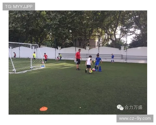 围绕北海足球冬训费用标准探讨科学制定青训成本管理策略体系